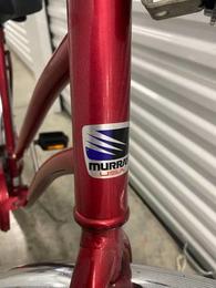 buy murray bike